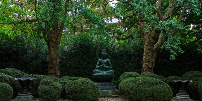 Ogród z zen