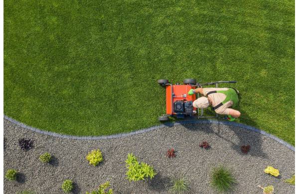  Sprawdzone sposoby na gęsty trawnik w ogrodzie