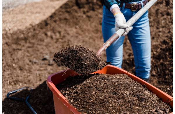 Kompost – „czarne złoto” ogrodników