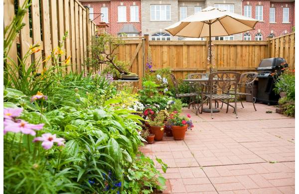 Miejskie ogrodnictwo – funkcje, zasady, rodzaje