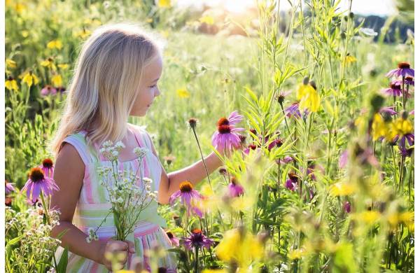 Jak urządzić ogród bezpieczny dla dzieci?